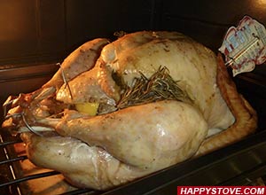 Roast Stuffed Turkey